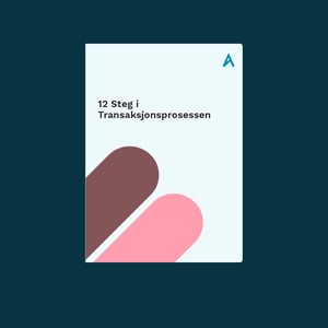 Transaksjonsprosess-kjøp og salg av selskap